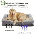 thumbnail image 6 of WATANIYA PET Orthopedic Egg-Crate Foam Dog Sofa Bed,Removable Nonslip Pet Couch With Sides, Grey, 6 of 7