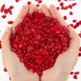 thumbnail image 1 of Sinkoo Sea Glass Stones for Crafts About 1LB (405g/14.28oz) Red Glass Pebbles Gemstones Bulk for Beaching Wedding DIY Decoration Aquarium Turtle Tank Vase Filler (Red), 1 of 5