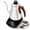 Silver, variant on Electric Kettle, Gooseneck Electric Kettle，±1℉ Temperature Control , Electric Tea & Coffee Kettle with Four Heating Modes,1200W/1 L