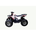 thumbnail image 2 of Tao Motor Raptor 125 ATV Mid Size ATV Limited Edition (Assembly Required), Graffiti, 2 of 5