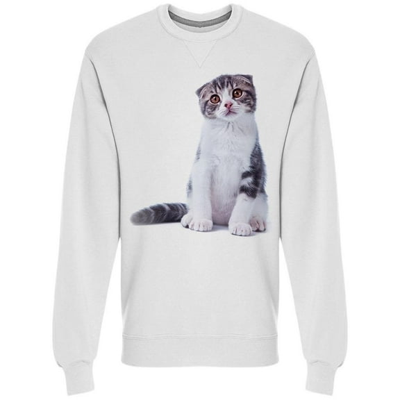 Kitten Leaning Against The Wall Sweatshirt Men -Image by Shutterstock Men Sweatshirt, Male 3X-Large
