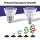 thumbnail image 4 of LED Grow Light Bulb for Indoor Plants Red & Blue Spectrum LED Plant Light Bulbs E14 Growing Lamp for, 4 of 5