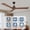 Natural Wood#87, variant on Tower Fan 52" Wood Ceiling Fan NO light, 3 Reversible Blades, with 6 Speeds Reversible DC Motor,Low Profile Ceiling Fan with no light for Living Room Kitchen Bedroom,Box Fan
