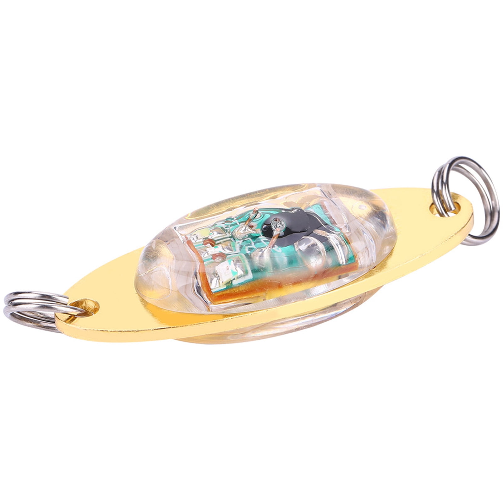 Luz LED Subacuática, Luz De Pesca De Caída Profunda Luz De Peces Subacuáticos Luz De Pesca De Caida Profunda Luz De Peces Subacuaticos Luz De Pesca De Caida Profunda Estandares Lideres En La Industria