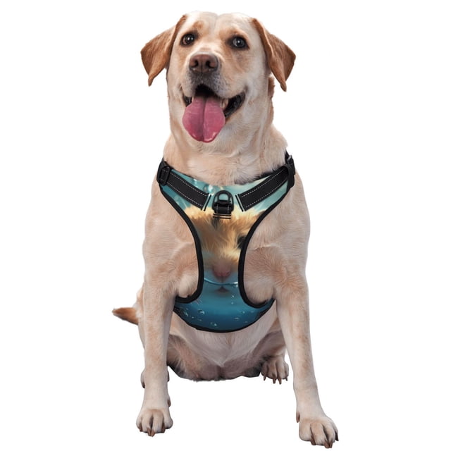 Kdxio Cute Swimming Guinea Pig Print No Pull Dog Harness Adjustable Reflective Oxford Easy Control Medium Large Dog Harness for Training and Everyday-X-Large