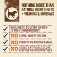 thumbnail image 6 of Purina Beyond Grain Free Salmon & Sweet Potato Recipe Ground Entree Dog Food 13 oz. Can, 6 of 11