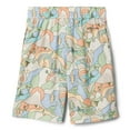 thumbnail image 2 of Columbia Toddler Boys Sandy Shores Boardshort, Dark Stone Epicamp, 3T, 2 of 2