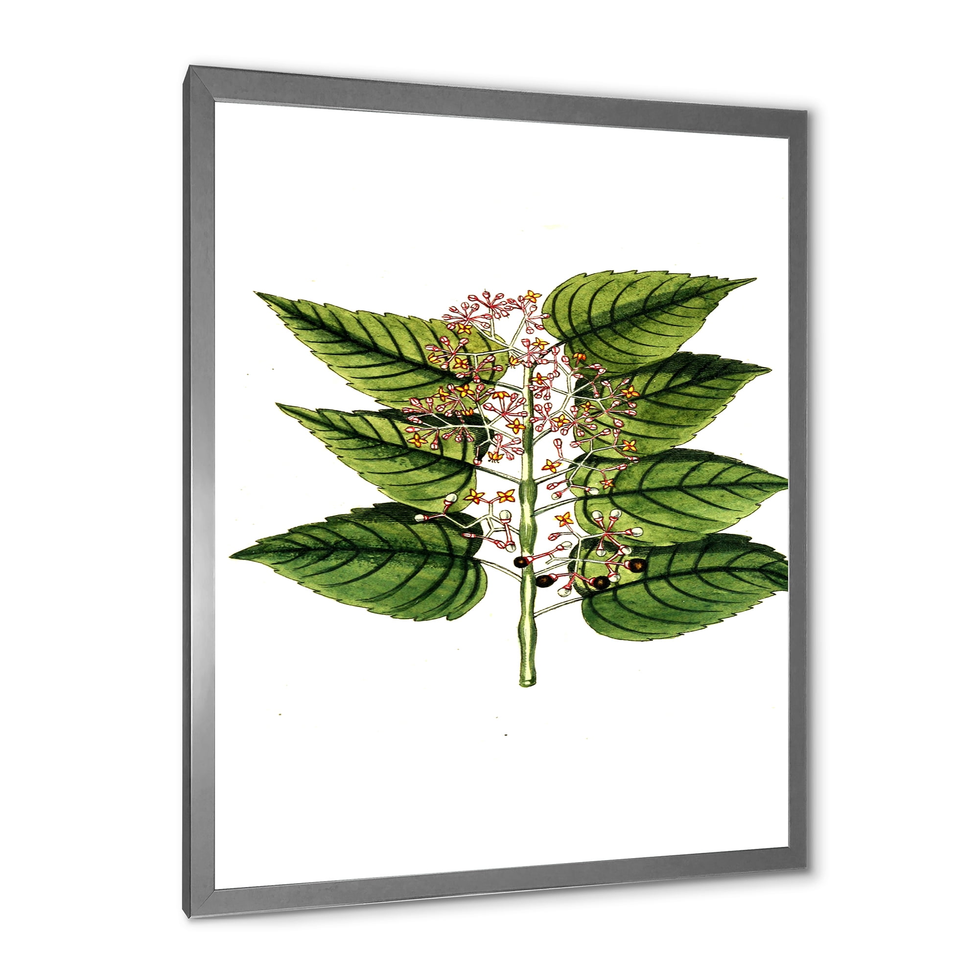 Designart 'Ancient Plant Life XXVI' Traditional Framed Art Print