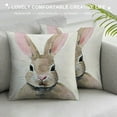 thumbnail image 3 of Nawypu Bunny Throw Pillow Covers Rabbit Flower Pillow Case Linen Spring Home Season's Decorations for The Home Couch, 3 of 5