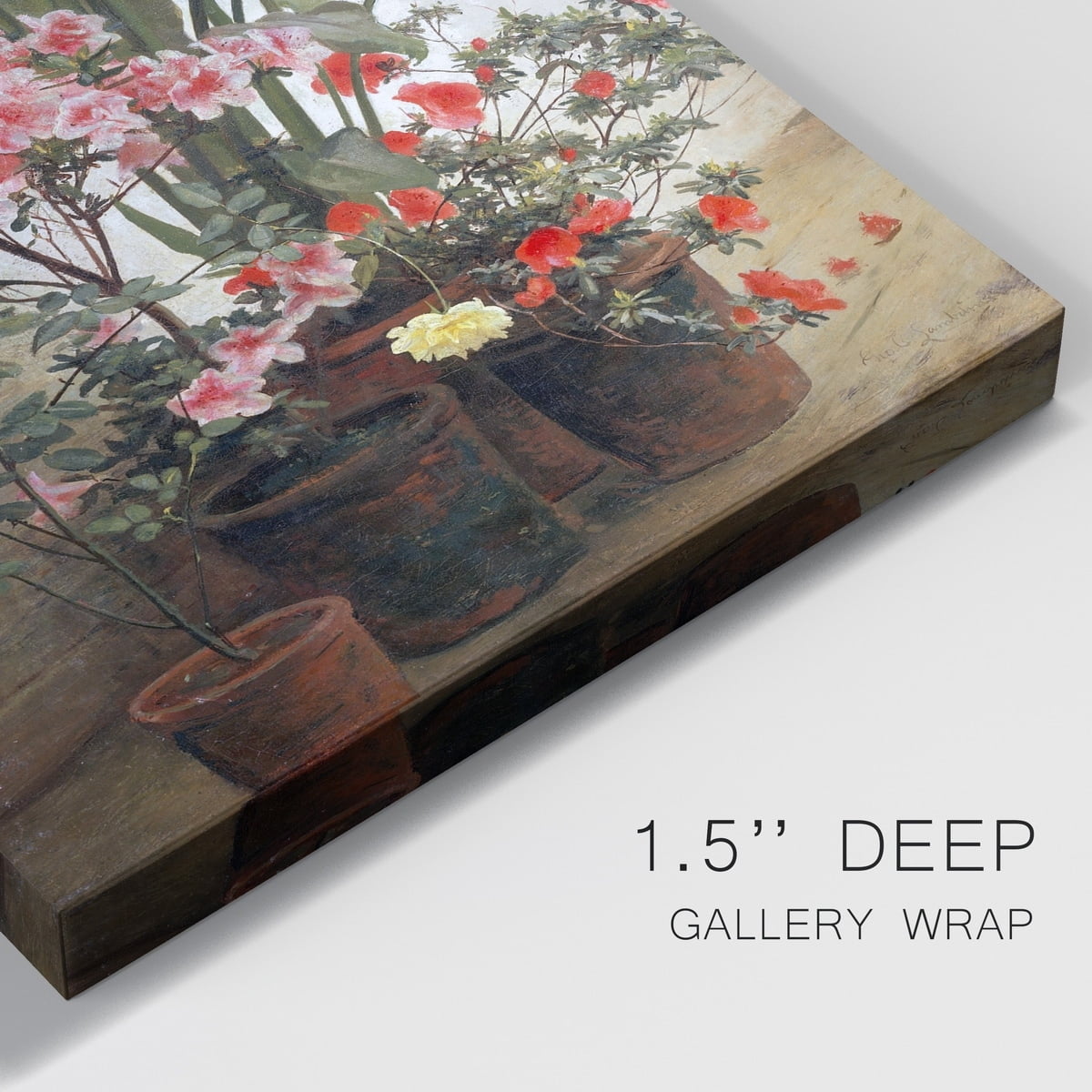 Side of a Greenhouse Premium Gallery Wrapped Canvas - Ready to Hang - 32 x 48