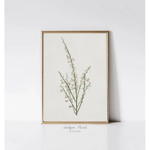 Neutral Branch Wall Art, Vintage Soft Tones Botanical Drawing, Antique Flowers Print, Neutral Nursery Farmhouse Decor, Home Decor #549, 8x12 UNFRAMED