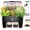 Black, variant on 16 Pods Hydroponic Growing System, Indoor Garden with 24W Full- LED, Quiet Auto-Watering Planter, Classic Red-Black Design for , Office & Holiday
