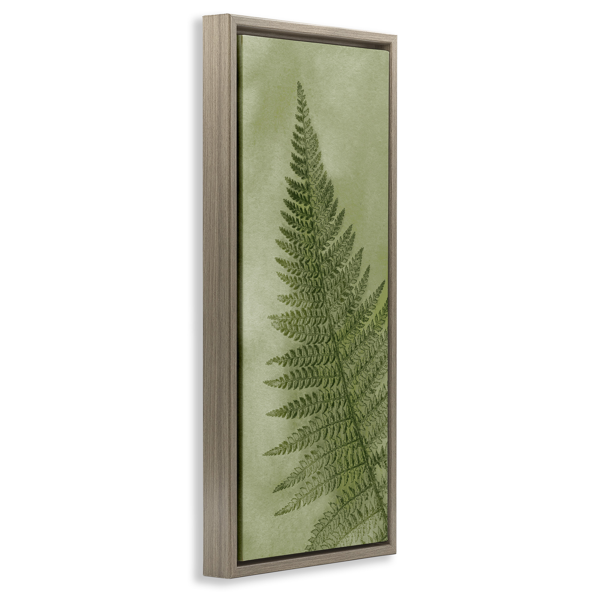 Stupell Industries Detailed Green Fern Leaf Botanical & Floral Painting Brown Floater Framed Canvas Art Print Wall Art, 15 x 31