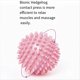 thumbnail image 2 of Pelota de Masaje para Yoga Thorn Ball, Pelota de Fascia para Fitness, Pelota de Fuerza de Agarre, Pelota de Liberación para Fitness, Pelota de Yoga Rosa., 2 of 5