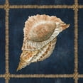 thumbnail image 2 of Jacobs, Cindy 26x26 Black Ornate Wood Framed with Double Matting Museum Art Print Titled - Seashell on Navy VI, 2 of 4