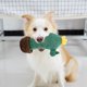 thumbnail image 4 of Juguete mordedor resistente a las mordeduras para perro gato Cactus de Likrtyny dibujos animados peluche interesante masticar ruido Molar para mascotas suministros de entrenamient, 4 of 6