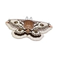 thumbnail image 4 of Capa de mariposa para Halloween, disfraz versátil y cómodo de alas de mariposa para Halloween. café 145cm, 4 of 9