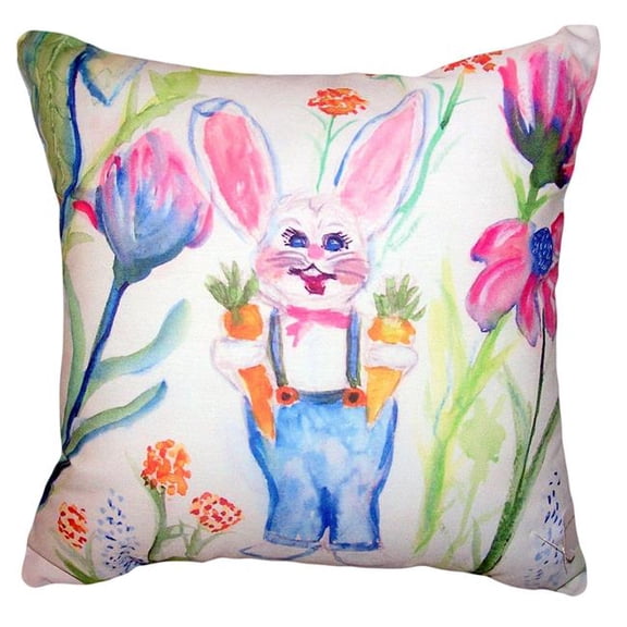 18 x 18 in. Mr. Farmer No Cord Pillow