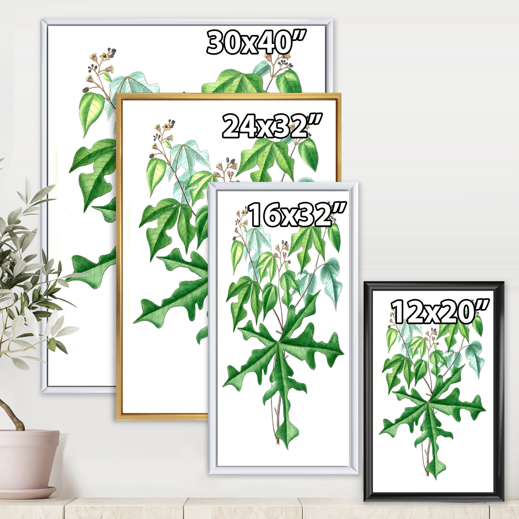 Designart 'Ancient Drawing of Wild Plants' Traditional Framed Canvas Wall Art Print