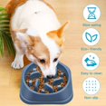 thumbnail image 5 of Bol Anti-Étouffement pour Chien 2 Pack Casse-Tête Interactif, 5 of 5
