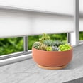 thumbnail image 4 of Terracotta Pot 8 inch Shallow Round Succulent Planter Bowl with Drainage & Bamboo Tray Flower Pots for Indoor Plants Cacti Bonsai Red, 4 of 12