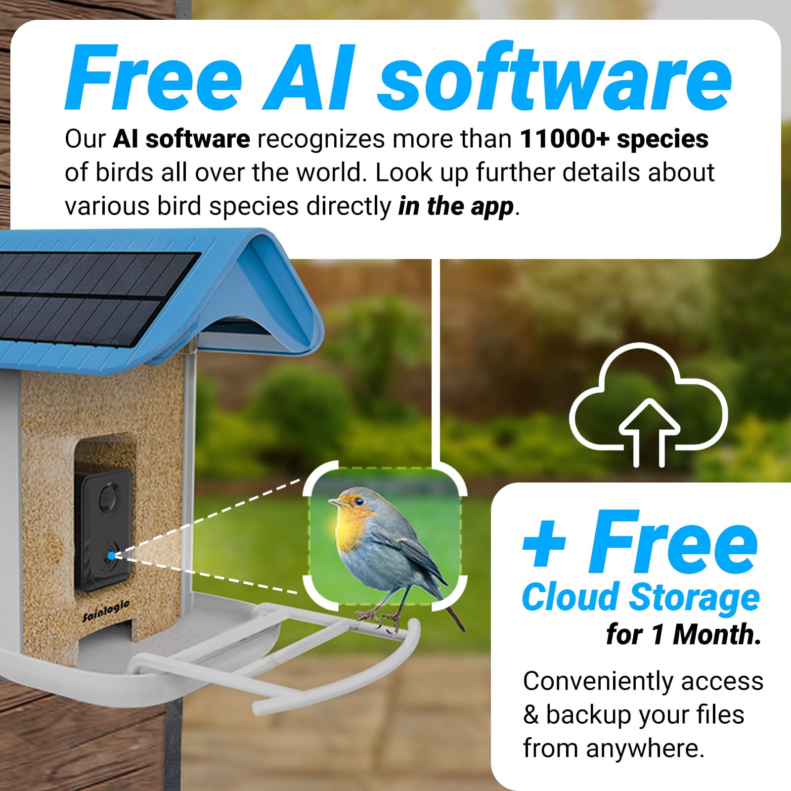 1080P Smart Bird Feeder with Camera, Solar-Powered, Wireless, IR Night Vision, Ultra-Wide HD Lens, APP-Controlled, Identifies 11,000+ Bird Species, Ideal Gift for Bird Lovers