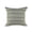 Green, variant on 24" X 24" Green Zippered Coastal Indoor Outdoor Throw Pillow