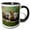 Black/White, variant on 3drose, Beautiful Tiger Posing for Pictures, 11oz Two-tone Yellow Mug