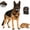 Without blood, variant on Halloween Dog Muzzle with Teeth Scary Hell Hound Beast Latex Costume Mask | Hellhound Werewolf Beast Muzzle, Natural Latex, Adjustable Straps for Halloween Photos & Cosplay, Not for Bite Control