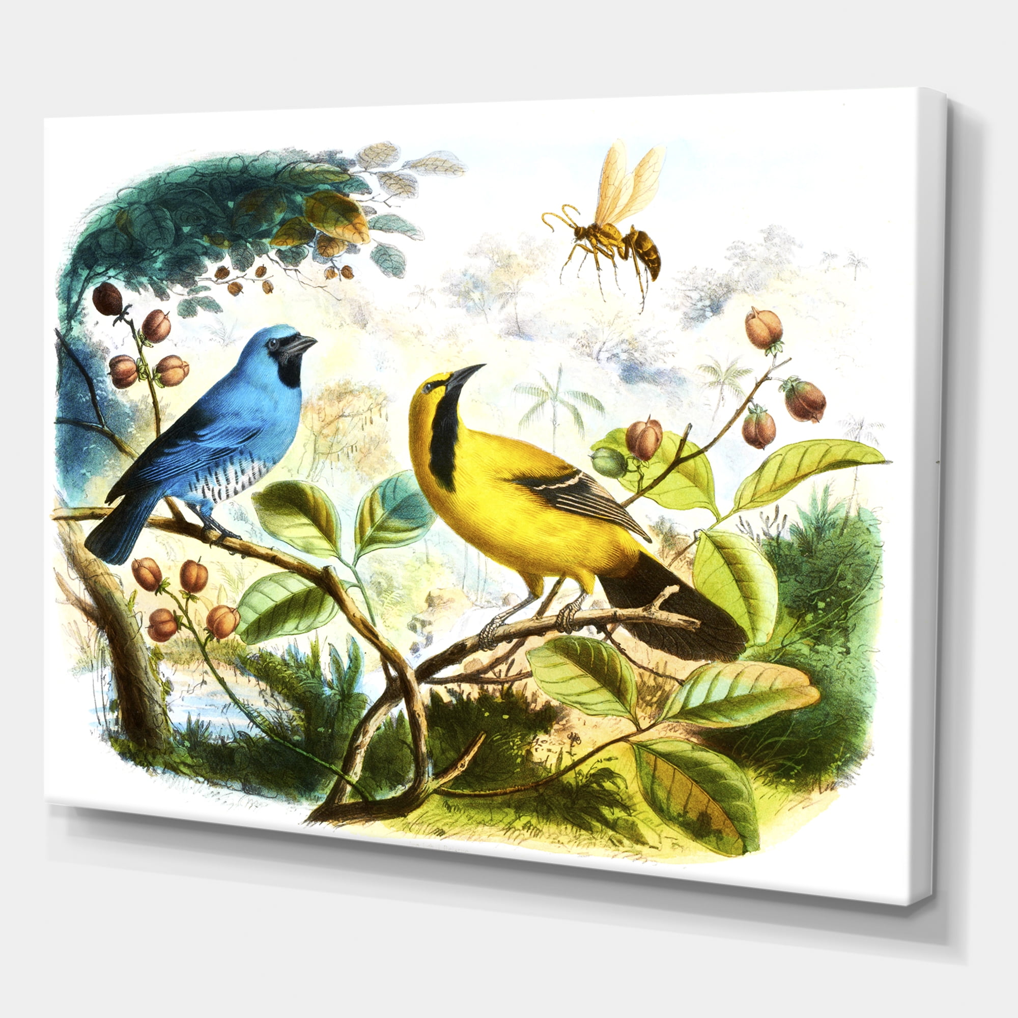 Designart ' Yellow and Blue Bird In The Wild ' Traditional Canvas Wall Art Print