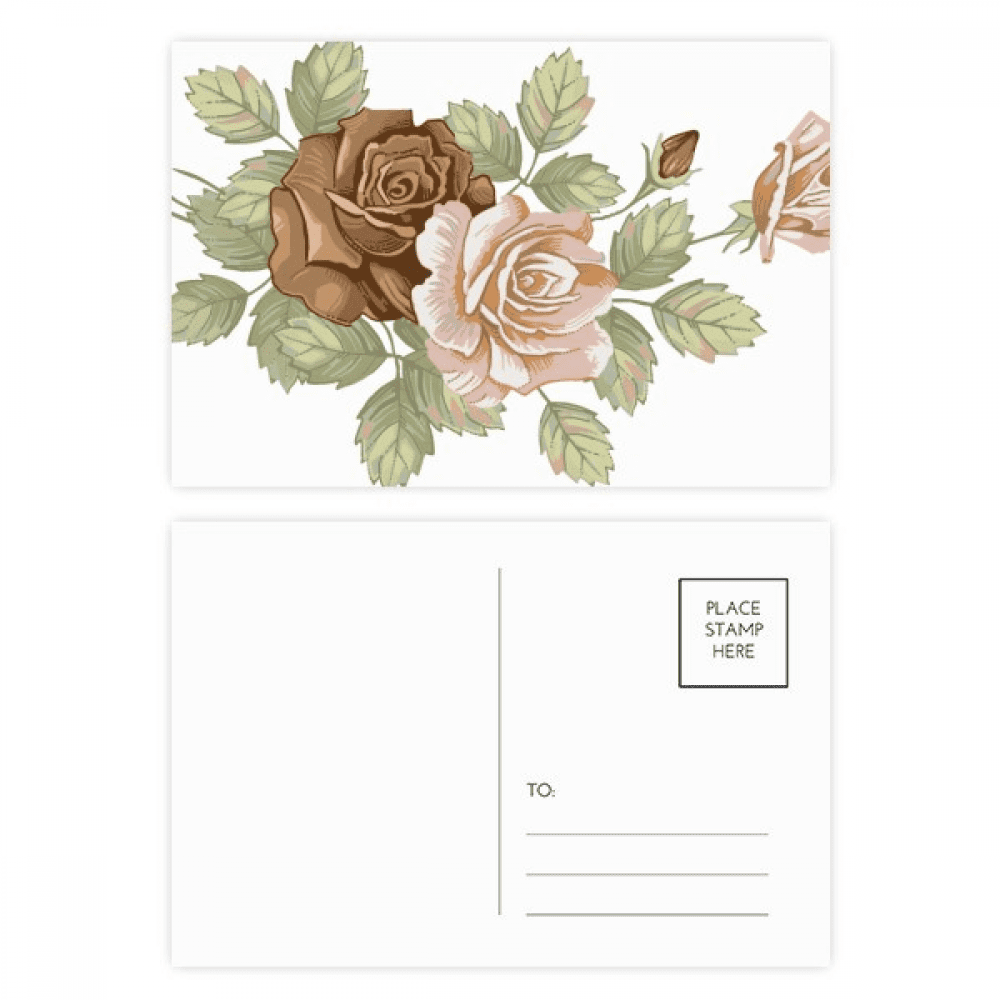 rose flowers drawing white roses postcard set birthday mailing thanks greeting card