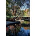 thumbnail image 2 of Tammy Putman 13x18 White Modern Wood Framed Wall Art Titled - Fall Reflection, 2 of 5