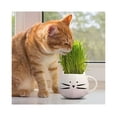 thumbnail image 3 of Cat Grass Mix, 4 oz - Grow Cat Grass Sprouts for your Cat. Seeds for Microgreens -Hard Red Wheat- Non GMO - Country Creek Acres LLC - Grown in The USA, 3 of 6
