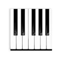 thumbnail image 1 of Ensemble de 4 sous-Verres pour Touches de Piano, 1 of 2