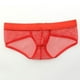 thumbnail image 4 of Calzoncillos de Malla Transpirables Ropas Interiores Lencería de Noche Bóxer Slips para Hombres SG, 4 of 9