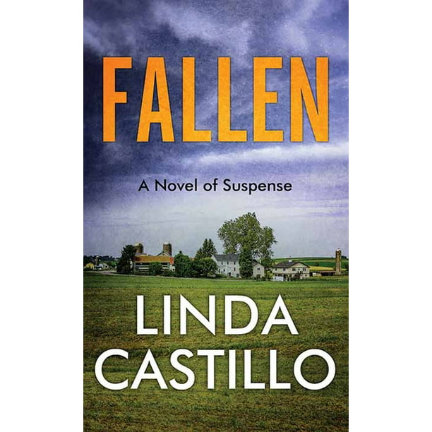 Vanvid Konfrontere skøn Fallen : A Kate Burkholder Novel (Hardcover) - Walmart.com