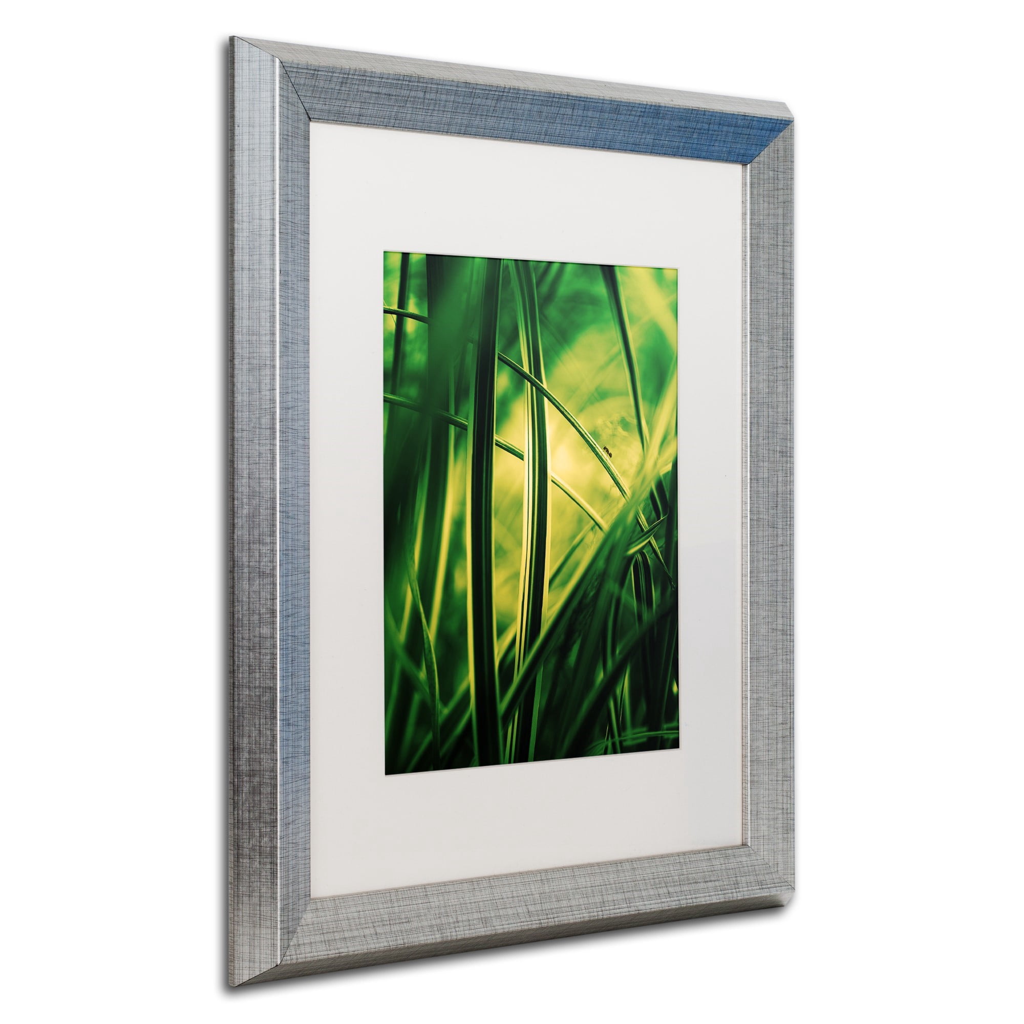 Trademark Fine Art "Miniature" Canvas Art by Philippe Sainte-Laudy White Matte, Silver Frame