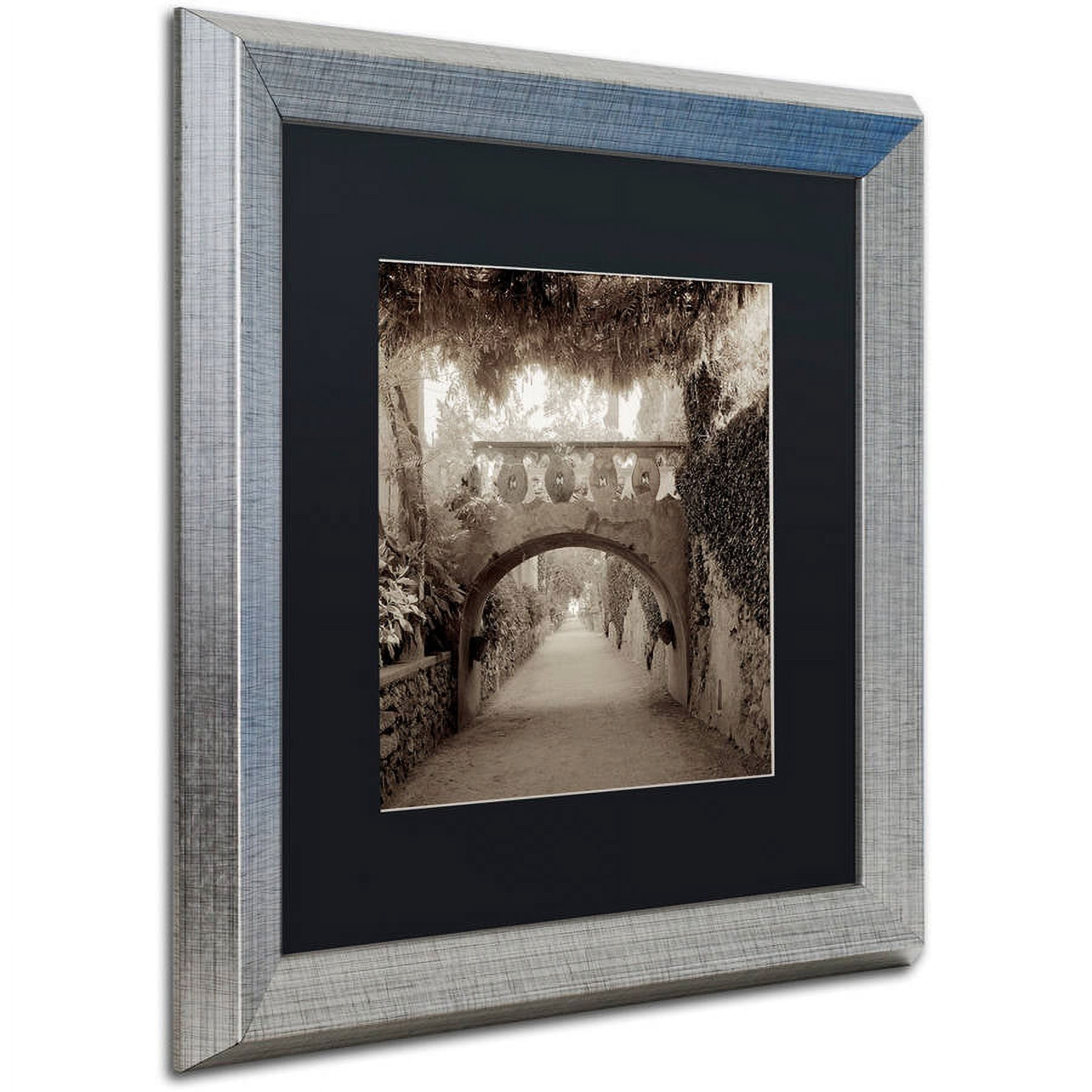 Trademark Fine Art "Giardini Italiano VI" Canvas Art by Alan Blaustein, Black Matte, Silver Frame