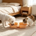 thumbnail image 6 of Folding Silicone Dog Double Bowl, Portable Pet Food and Water Bowl for Outdoor Travel Walking Hiking (1PC, Yellow), 6 of 9