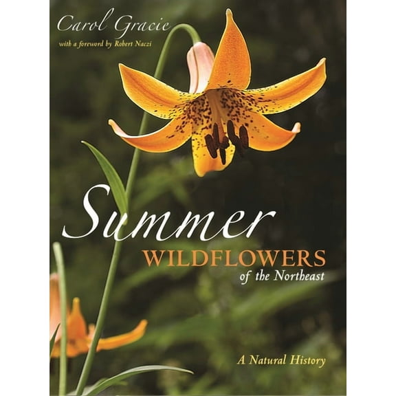 Summer Wildflowers of the Northeast: A Natural History, (Paperback)