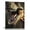 pattern3, variant on JRXY Dinosaur Poster with Names Tyrannosaurus Rex Poster Types of Dinosaur Poster Room Aesthetic Print Bedroom Decor Art Wall Painting Canvas Posters pattern2