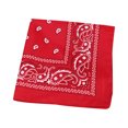 thumbnail image 1 of Yuarrent Bufanda pequeña cuadrada de moda Hip hop Cool Guy mujeres hombres impresión cabeza envoltura rap estrella pañuelo cuello lazo para el pelo Accesorios para máquinas de ejercicios Rojo Yuarrent JJ15373-01, 1 of 6