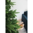 thumbnail image 2 of Perfect Holiday 6′ Northern Shasta Fir Full Christmas Tree, Green, 2 of 5