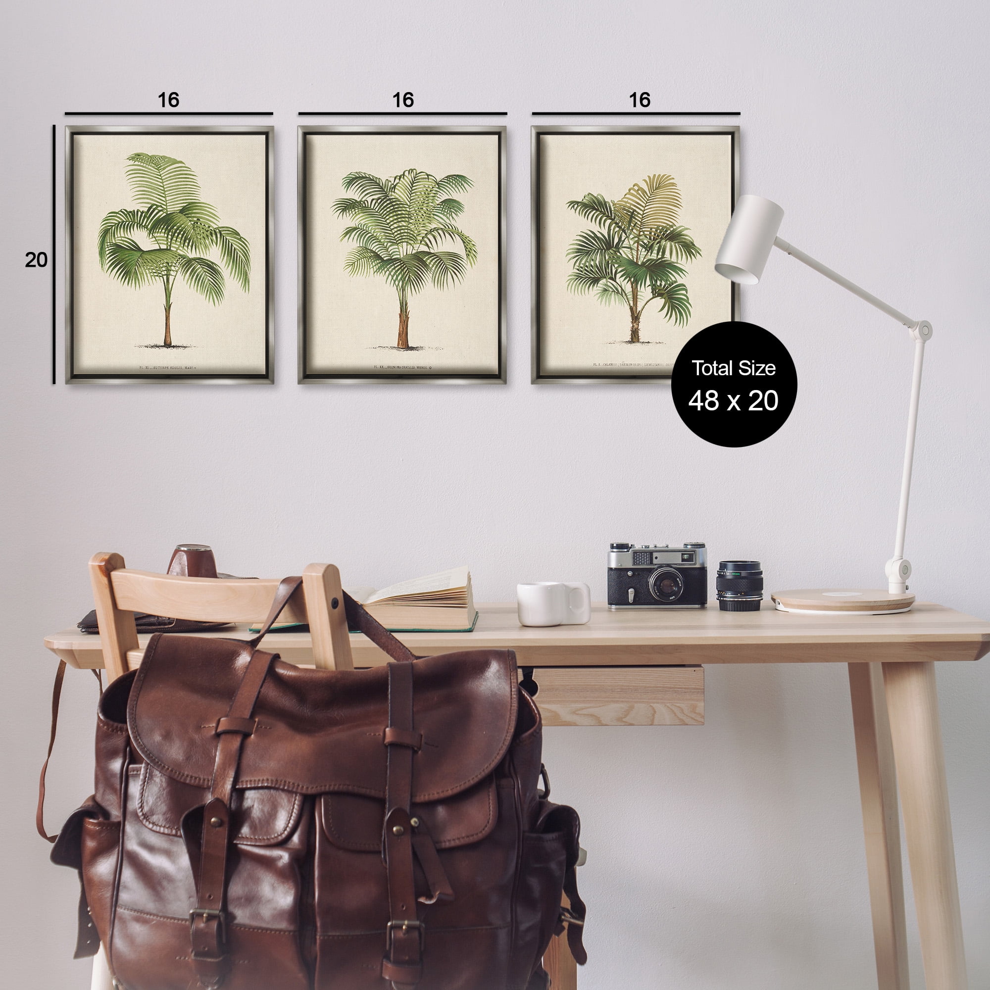 Stupell Industries Les Palmiers Botanical Trio Botanical & Floral Painting Gray Floater Framed Canvas Art Print Wall Art, 17 x 21, Set of 3