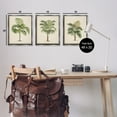 thumbnail image 3 of Stupell Industries Les Palmiers Botanical Trio Botanical & Floral Painting Gray Floater Framed Canvas Art Print Wall Art, 17 x 21, Set of 3, 3 of 9