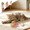 thumbnail image 2 of FEOLGEHLY Catnip Toy Set for Indoor Cats Silvervine Cat Toy Cat Teething Toy Cat Chew Toy Multi-Shape Fish Ball Mouse Feather Boredom Relief (Brown E), 2 of 7