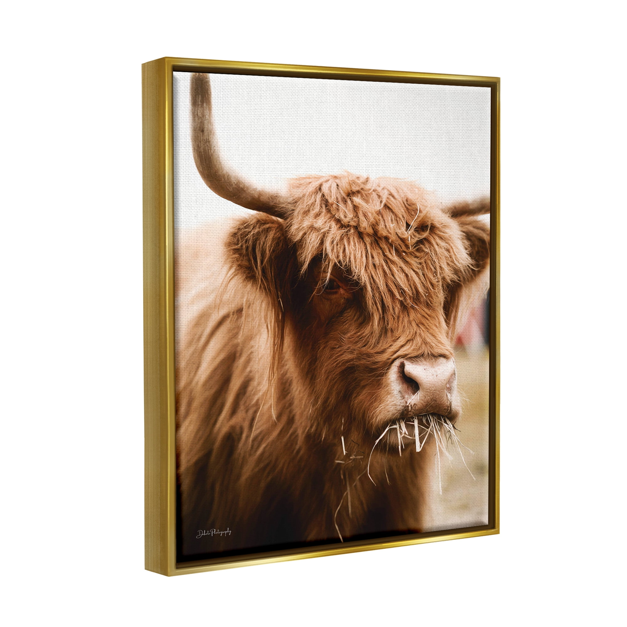 Stupell Industries Cattle Chewing Photography Animals & Insects Photography Gold Floater Framed Art Print Wall Art, 17 x 21