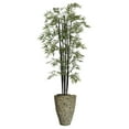 thumbnail image 1 of 85.5 in. Bamboo Tree with Planter, 1 of 1
