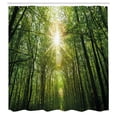 thumbnail image 3 of Ambesonne Forest Shower Curtain, Summer Trees Upward View, 69"Wx70"L, Fern Green and Yellow, 3 of 5