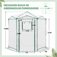 thumbnail image 3 of EAGLE PEAK 6.6x6.6 ft Hexagon Pop up Greenhouse, Portable Walk-in Grow Tent, All-Weather Plant Shelter, White, 3 of 10